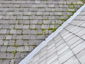 Detail of a roof covered in green moss and algae, demonstrating the potential damage caused by moisture retention on shingles.