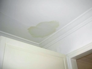 Interior view of a ceiling with distinct water stains, indicating potential roof leakage and the need for immediate roof inspection.